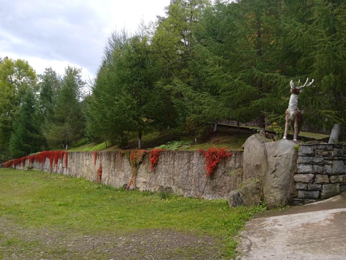 Садиба Федорчуків Гірська хатина Шешори Екстер'єр фото