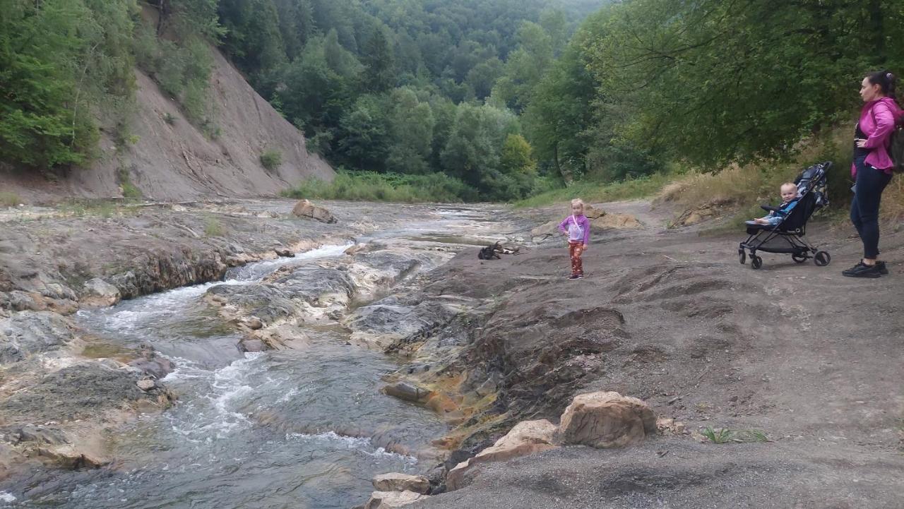 Садиба Федорчуків Гірська хатина Шешори Екстер'єр фото